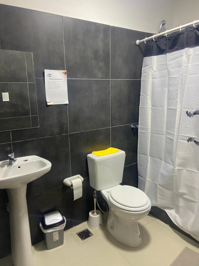 ניוקואן Black Star Art Hostel מראה חיצוני תמונה